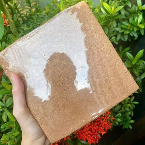 Sustrato de Coco Natural, Orgánico y Ecológico, Turba de Coco Comprimida, Biodegradable, Bajo EC, pH Equilibrado, Mejora el Crecimiento de las Raíces para - Product Image 1