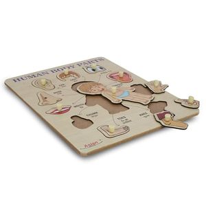 Portable Wooden Human Body Parts <b>Puzzle</b> for Kids Pack of 1 (Multicolor) - Product Image 3