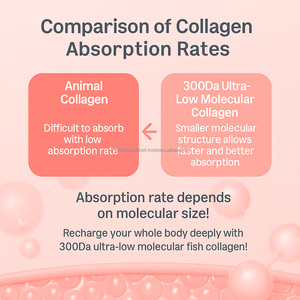 Supplément de beauté au collagène et à la biotine 500mg Support naturel pour ongles et cheveux de la peau OEM Export - Product Image 5