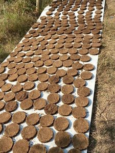 Natural Cow Dung Cakes for Havan Pooja Organic Fuel Eco Friendly Dried Gobar Kande for Cooking Heating Ritual Use India Premiums - Product Image 2