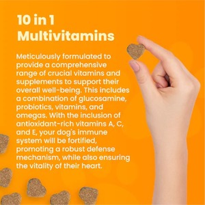 Marca personalizada OEM 10 en 1 multivitamínico para perros, fórmula saludable para todas las razas, antioxidantes, suplemento esencial para el cuidado de la salud de las mascotas - Product Image 5