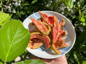 Guayaba Roja Deshidratada Suave, Guayaba Blanca Deshidratada, Snacks Deshidratados de Primera Calidad, Fruta Deshidratada a Granel para Venta al por Menor y al por Mayor - Product Image 6