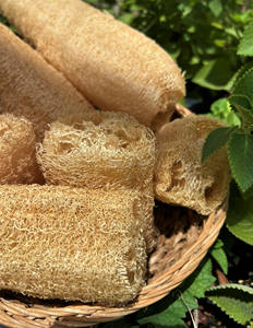 Éponge exfoliante en loofah bio 10-12cm, emballage personnalisé, provenant d'un fournisseur de loofah naturel du Vietnam. - Product Image 5