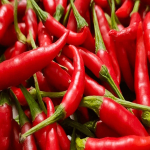 Pimientos Rojos Enteros Indios de Primera Calidad de Nueva Temporada para Mercados Internacionales con Calidad Cuidadosamente Seleccionada y Embalaje Eficiente a Granel - Product Image 4