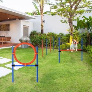 Attrezzatura per l'addestramento all'agility per cani - Product Image 3