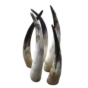 Cuerno de Cerveza Vikingo Hecho a Mano, Estilo Ángel, Impermeable, Cuerno Natural Pulido para Hidromiel y Cerveza - Product Image 1