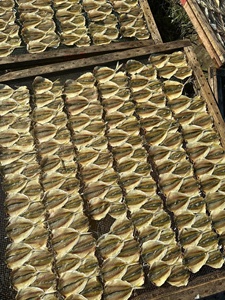 ปลาต๊อกแห้งปรุงรสสำหรับย่าง ทอด อาหารทะเลปรุงรสเวียดนาม ขนมขบเคี้ยวเพื่อสุขภาพ ปลาต๊อกแห้งส่งออก - Product Image 4