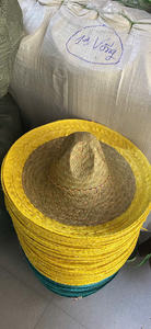 Chapeaux de fête mexicains Sombrero à large bord imprimés pour festival, cosplay, pêche en extérieur, colorés, avec logo personnalisé, sangle, bon prix - Product Image 2