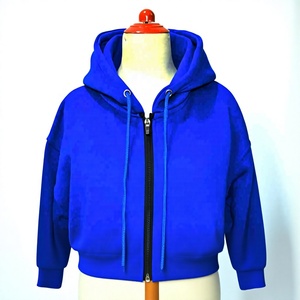 Sweat-shirt à capuche zippé intégral en polaire bleu roi de qualité supérieure pour homme, avec poignets côtelés, vêtement de sport décontracté, collection hiver, direct usine - Product Image 1