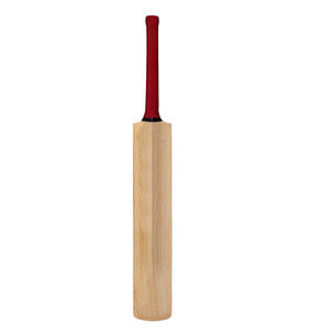 Matériel de sport pour matchs d'entraînement, batte de cricket légère et durable, équipement de sport, accessoire d'entraînement en plein air. - Product Image 2