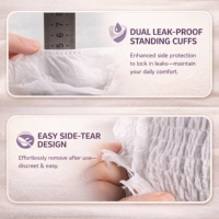Culottes absorbantes jetables pour adultes, approuvées par la FDA, pour hôpitaux, super absorbantes, pour incontinence, culottes pour adultes, couches-culottes pour adultes