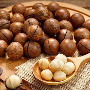Nueces de macadamia frescas y naturales a granel, selección premium para compradores mayoristas en todo el mundo - Product Image 5