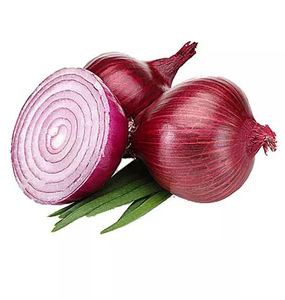 Cebolla Roja Fresca al Por Mayor al Precio Más Bajo - Product Image 1