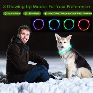 Collare per Cani LED Ricaricabile USB, Illuminazione Multicolore, Lunghezza Regolabile, Collare di Sicurezza per Cani Piccoli, Medi e Grandi - Product Image 2