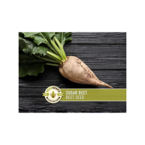 Blettes Sucrées Produits Agricoles Premium Soigneusement Cultivées pour la Fraîcheur, la Qualité et l'Utilisation Commerciale - Product Image 5