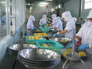 Vietnam Export Standard Frozen Ananas IQF Goût Supérieur, Expédition Rapide dans le Monde Entier par 99 Données Or - Product Image 6