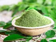 Poudre de Moringa Naturelle pour les Entreprises de Produits Alimentaires à Base de Plantes – Poudre de Feuilles de Haute Qualité pour Emballages Commerciaux et de Détail - Product Image 2