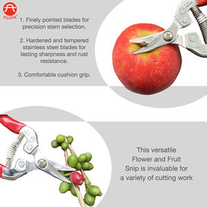 Sécateurs à nez droit Taiwan 8/200 mm en acier SK5 avec revêtement PTFE antiadhésif et poignée ergonomique en PVC pour la taille des fruits et des vignes - Product Image 6