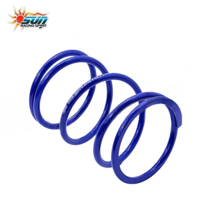 SUN Racing Taiwán MIO100 CVT Juego de Muelles Centrales Principales 1000/1200/1500/2000 RPM Transmisión de Scooter de Acero de Alto Rendimiento - Product Image 1