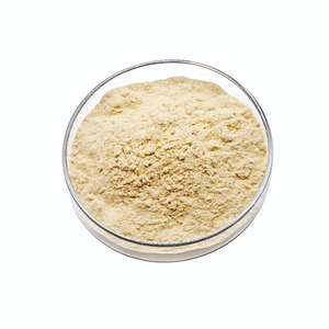 Gluten de blé de qualité supérieure en stock, vente en gros, qualité alimentaire, meilleure qualité, approvisionnement pour l'exportation - Product Image 1