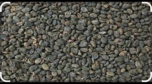 Extracto de Semilla Negra en Polvo, Suplemento Herbal Natural y Orgánico para la Salud y el Bienestar - Product Image 2