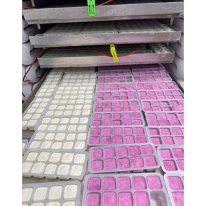 Yaourt lyophilisé disponible en cubes croustillants, emballage d'exportation éco-responsable et durable - Product Image 6