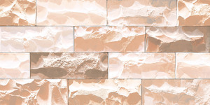 Carreaux muraux Premium Choice de qualité supérieure, carreaux d'élévation Asia Tiles 300x600mm pour articles de santé. - Product Image 2