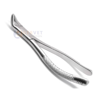 Achetez les meilleures pinces d'extraction dentaire S 151 de qualité allemande, fabriquées en acier inoxydable chirurgical de qualité médicale. - Product Image 4