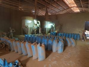 Incienso de Jazmín Vietnam T1 en Polvo, Polvo Religioso de Madera de Caucho Blanca, GMEX Alta Calidad - Product Image 5