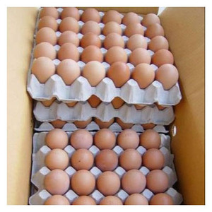 Huevos de gallina marrones de alta calidad, venta al por mayor, envasado a granel, estándares de seguridad alimentaria - Product Image 3