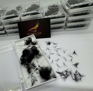 Extensions de cils coréennes en PBT noir mat 12D, plateaux souples, vente en gros, extensions de cils individuelles pré-faites, fabricant - Product Image 2