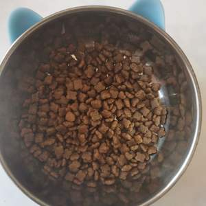 Nourriture pour chiens de 12 tonnes, saveur saumon, digestion sensible, 20 kg, pour petites races, adulte, humide/sèche, vente en gros d'usine ODM - Product Image 5