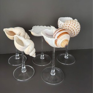 Verre à vin en métal design et coquillage marin, best-seller, ajoute une touche d'élégance à la dégustation quotidienne. Conçu pour une durabilité accrue. - Product Image 6