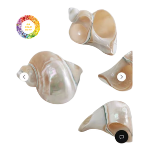 Anillos de Servilleta de Concha Natural de Lujo con Diseño Brisa Marina, Ecológicos y Duraderos para Decoraciones de Bodas en la Playa - Product Image 5