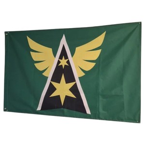 Drapeau rectangulaire vert en polyester pour académie de natation avec motif ailes et étoiles dorées, mât en acrylique durable pour usage extérieur - Product Image 1