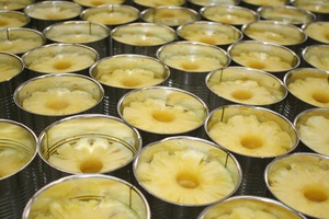 Qualité d'exportation d'ananas en conserve de qualité supérieure du Vietnam emballage 20 oz pour supermarché - Product Image 4