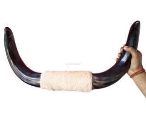 Cornes de peau de boeuf montées Corne de boeuf faite Décoration murale montée en buffle Accessoires de décoration intérieure de luxe Corne de boeuf Décoration murale montée - Product Image 5
