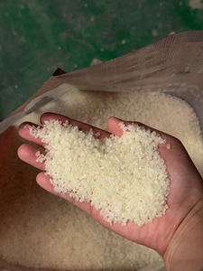 Nueva Cosecha 2026 Arroz Vietnamita Aromático Calrose Sushi Redondo Japonica Blanco Duro Seco para Comida y Cocina +84398885178 - Product Image 2