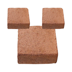 Producto estrella: fibra de coco utilizada para la aeration del suelo de cultivo, crecimiento saludable de las raíces, proporcionando nutrientes para todo tipo de plantas, la mejor opción. - Product Image 1
