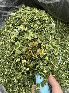 100% poudre de céleri séché naturel pur pour le thé et les herbes d'épices simples de régime pour l'assaisonnement de saveur de nourriture - Product Image 5