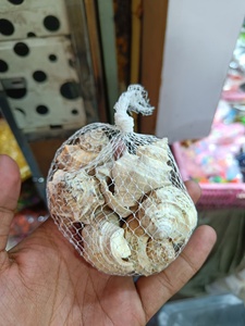 Assorted Single Variety Sea Shells Net Pack Natural Beach Shells for Craft Aquarium <b>Vase</b> Decor - Product Image 6