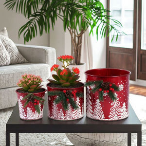 Macetas de Metal Personalizadas para Interiores y Exteriores, Macetas de Hierro para Jardín y Ventanas, Macetas y Jardineras de Calidad - Product Image 5