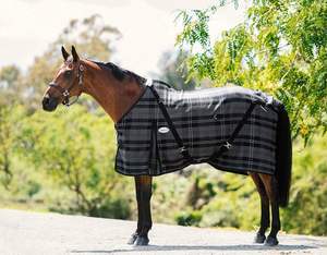 Mantas para Caballos Personalizables y Profesionales para Uso en Establos, Marca West Coast Equine, para Todas las Estaciones, Directo de Fábrica - Product Image 1