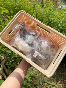 หนูแช่แข็งสำหรับให้อาหาร L1 71-80 กรัม – บรรจุแยกชิ้น |   เสริมด้วยโปรไบโอติก - Product Image 3