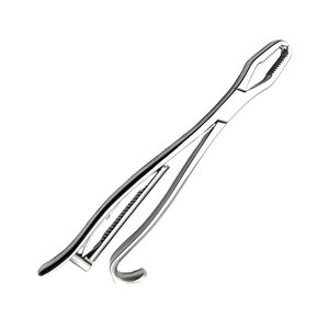 Pinzas de Acero Inoxidable de Alta Calidad para Sujetar Huesos, 27 cm, Instrumentos Quirúrgicos Veterinarios, Herramienta Ortopédica para Agarrar Huesos, CE - Product Image 2