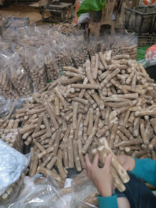 ของเล่นเคี้ยวสำหรับสุนัขขนาด XS ทำจากไม้กาแฟ แบรนด์ส่วนตัว ไม้เคี้ยวธรรมชาติสำหรับสุนัขพันธุ์เล็ก ผลิตภัณฑ์สำหรับสัตว์เลี้ยงที่เป็นมิตรกับสิ่งแวดล้อม ขายส่ง - Product Image 6