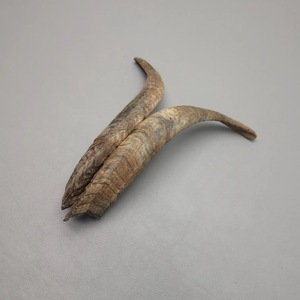 Paires de cornes de chèvre naturelles, finition rustique, écologiques, neuves, de haute qualité pour la décoration et l'artisanat - Product Image 4