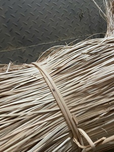 Peau de rotin flexible très demandée |   Matière première naturelle de haute qualité pour la fabrication artisanale de paniers, écologique, durable, 10 ans - Product Image 4