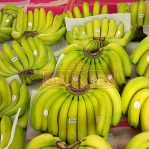 Plátano Cavendish Maduro, Fruta Tropical Fresca Directo de la Granja, Ideal para Importadores, Calidad Consistente, Gran Volumen, Envío Rápido - Product Image 2