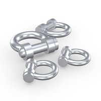 Manilles en acier inoxydable 316 de type D pour la marine et le levage